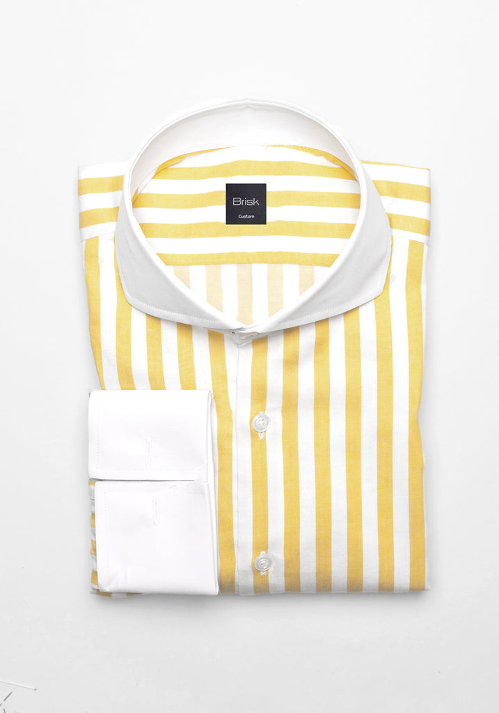 Contrast Collar Striped Shirt