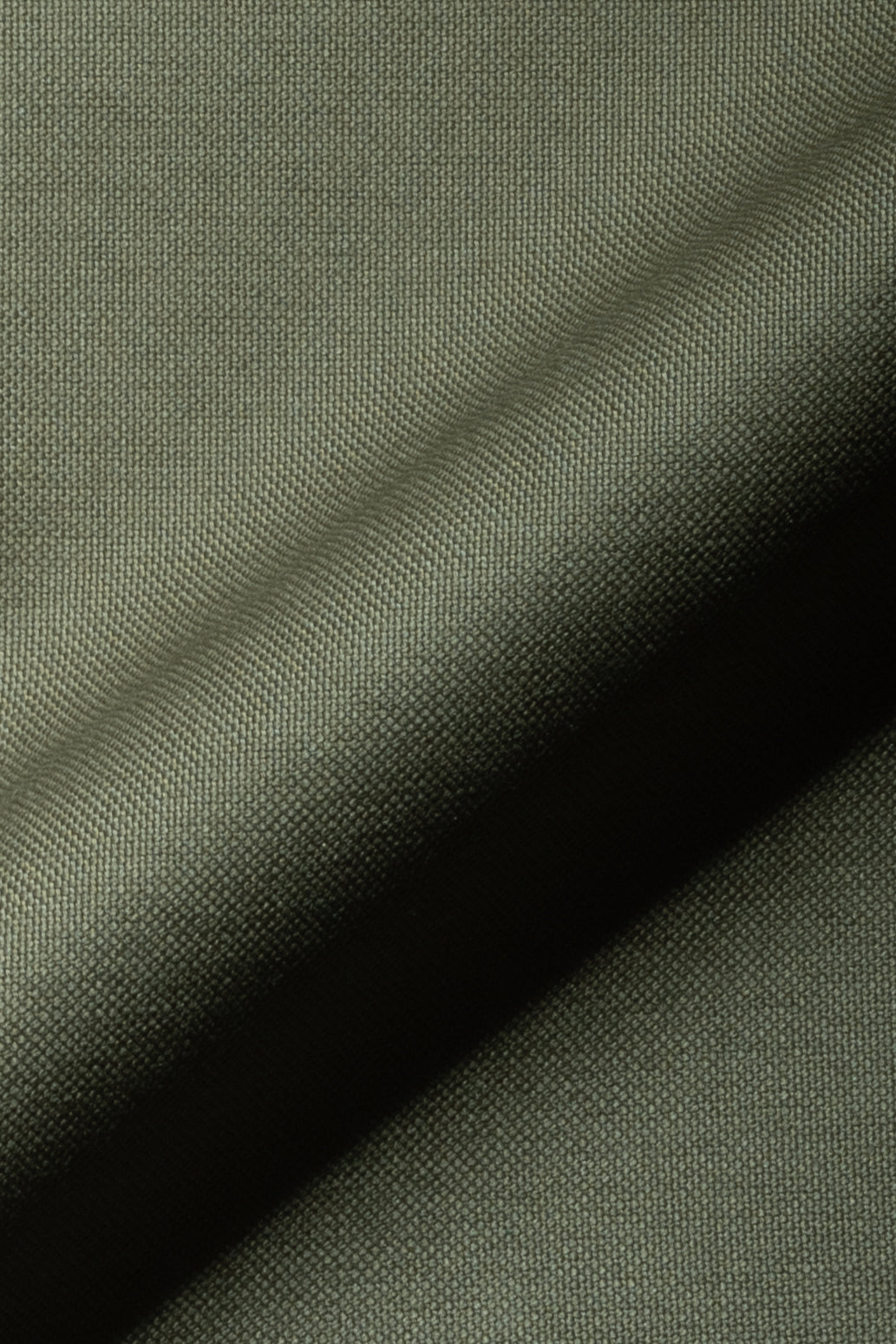 Olive Oxford Two-Ply