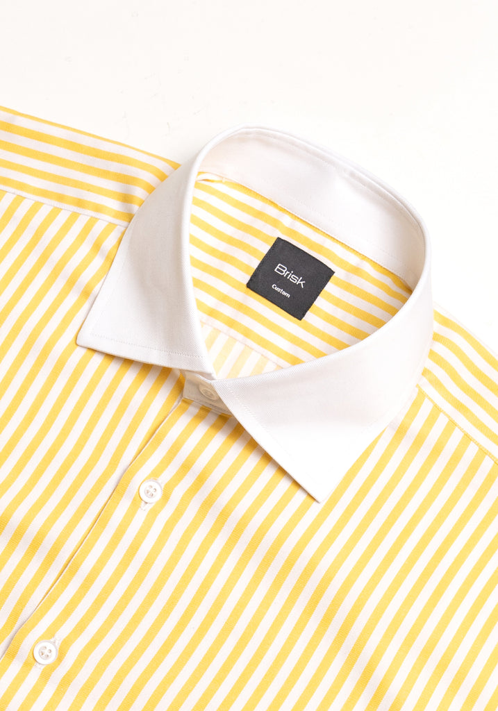 Yellow Bengal Twill Stripes Pima Cotton Shirt - White Cutaway Classic Collar
